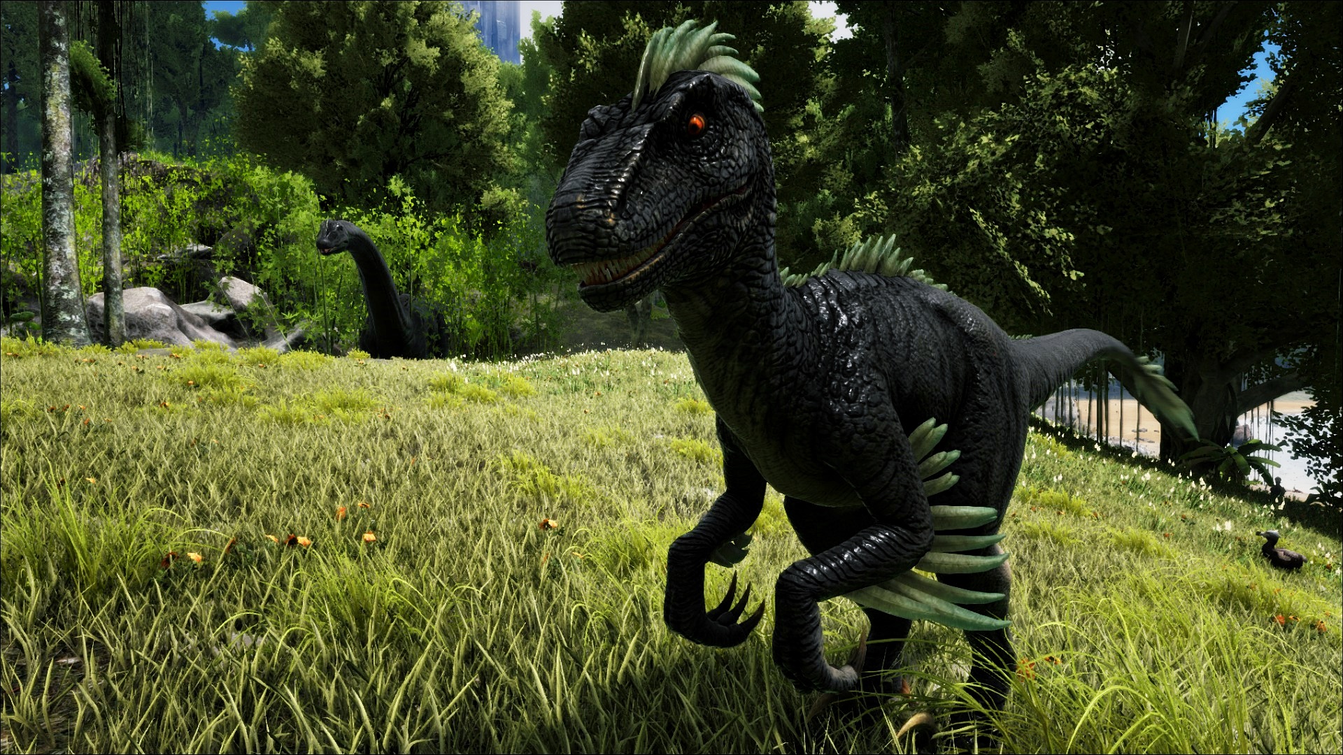 Serveur ARK No Wipe